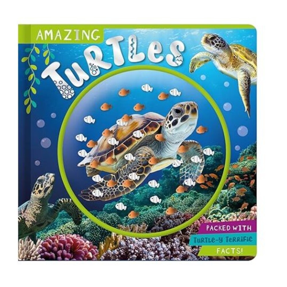 Amazing Turtles Book